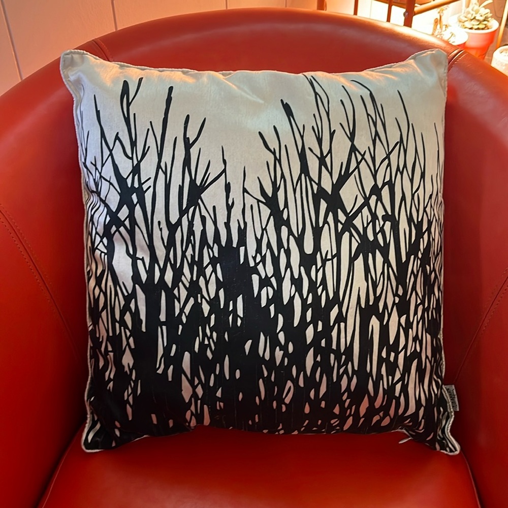 THRO Accent Pillow / Washable Cover